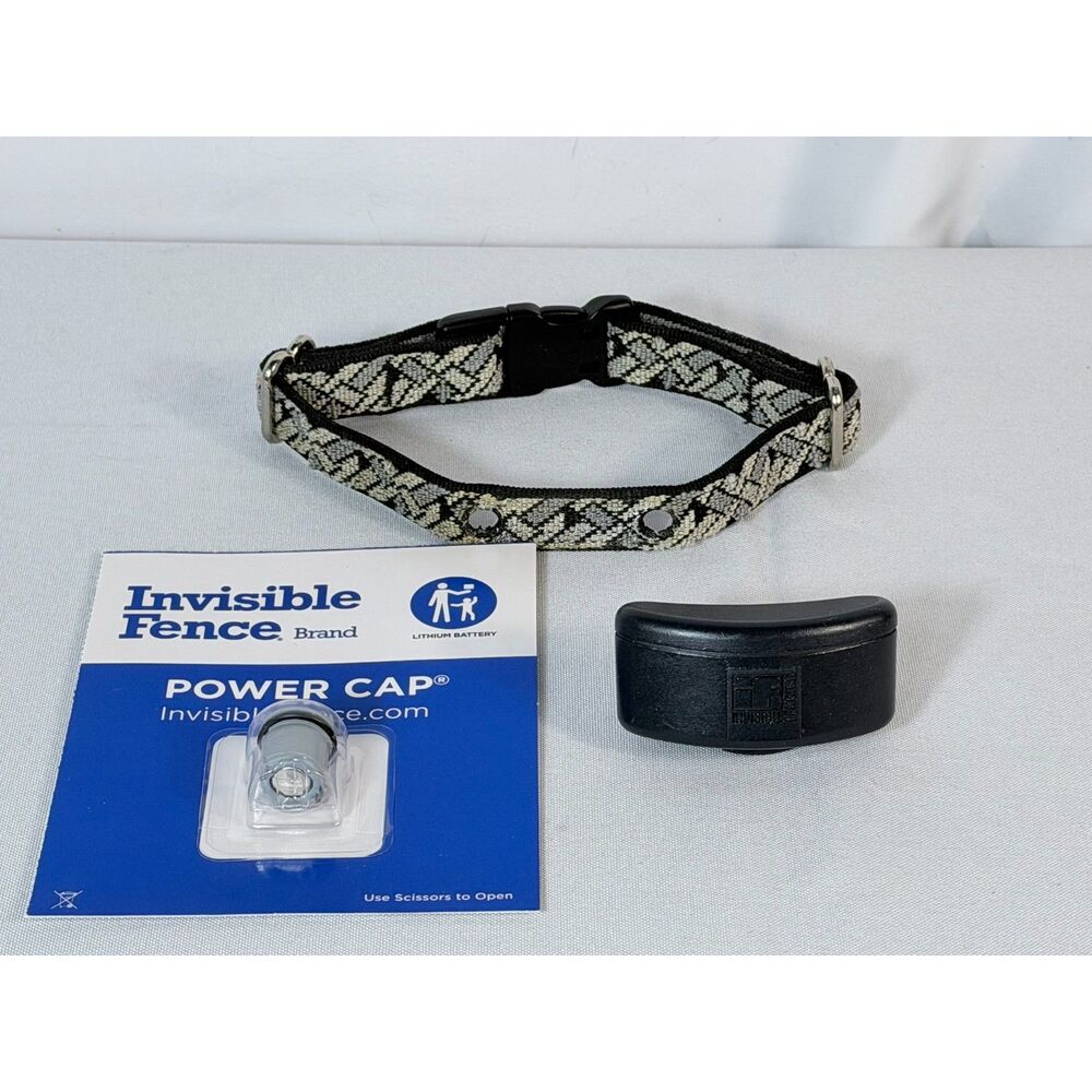 Invisible Fence Basic R21 V2.2 Receiver Collar Power Cap Battery Untested Dog